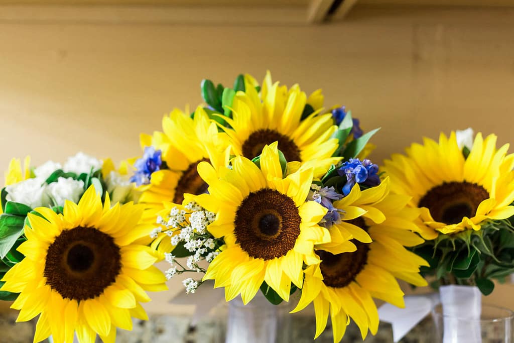 Sunflowers are a bright, fun additional to your sun-filled Key West wedding. 