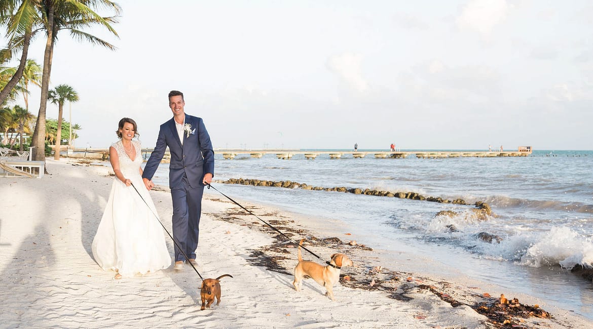 having your pet in your key west wedding can be a fun and special addition.