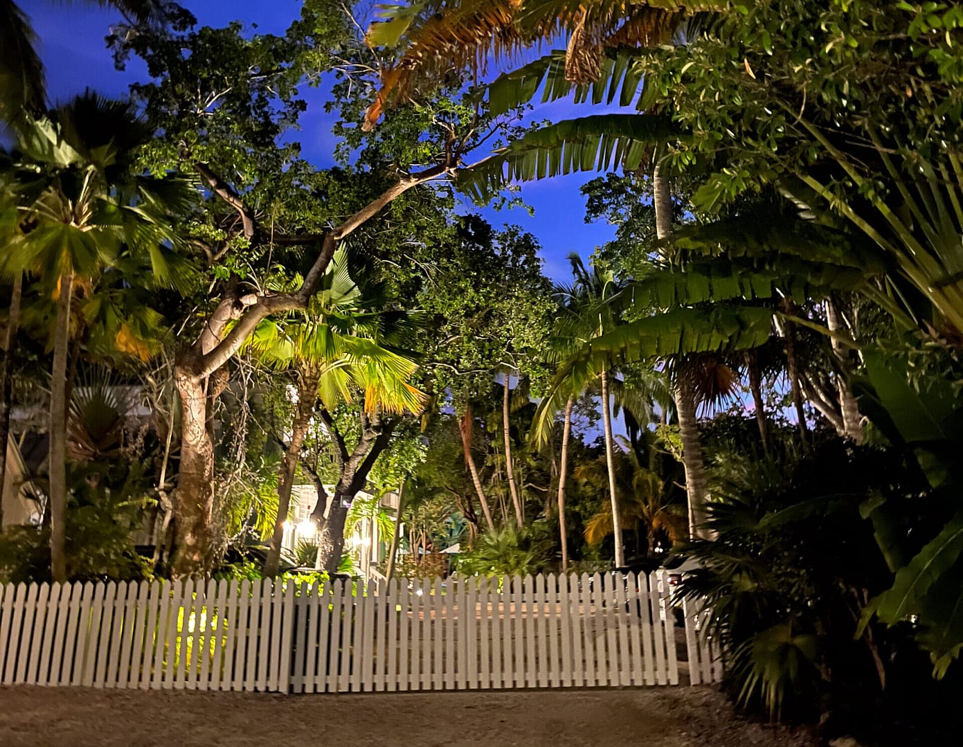 Paradise Inn at night.
