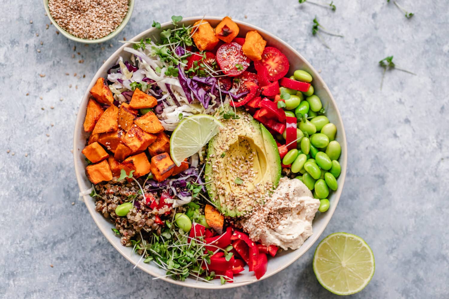 A beautiful plate of veggies.