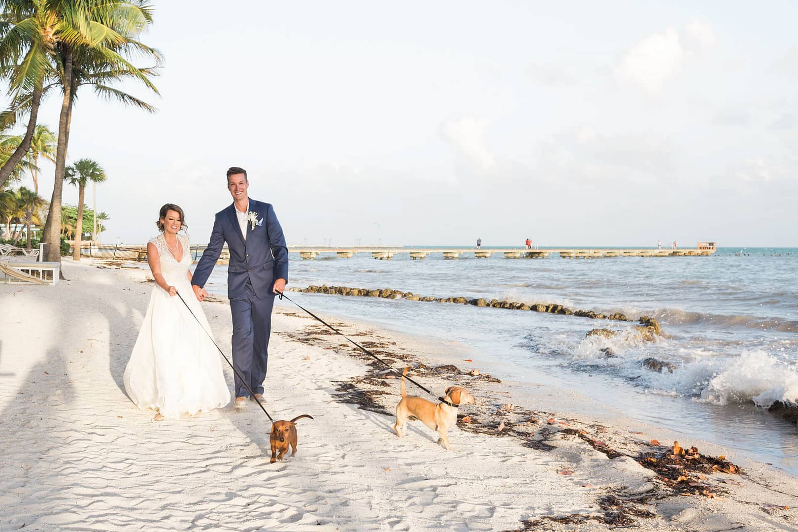 having your pet in your key west wedding can be a fun and special addition.