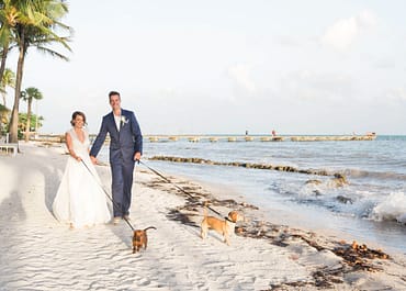 Including Your Pet in Your Key West Wedding: