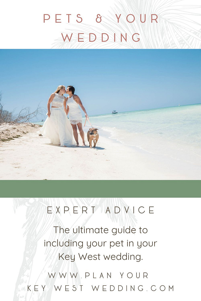 how to include your pet in your key west wedding