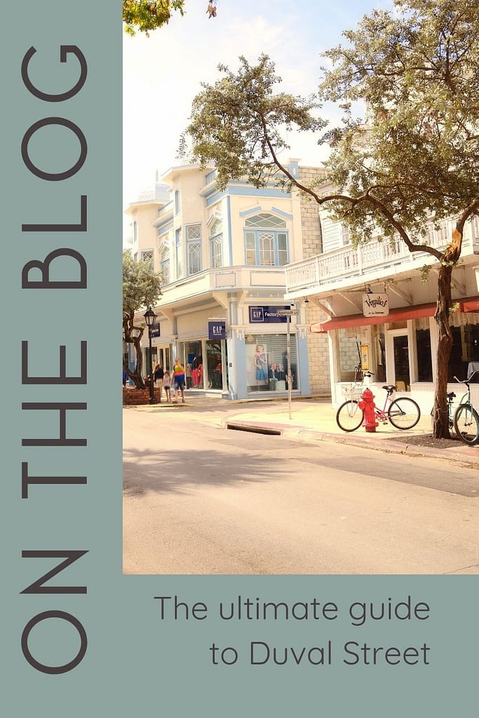 Pinterest pin for a guide to duval street